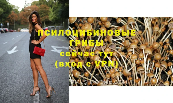 мдпв Медвежьегорск