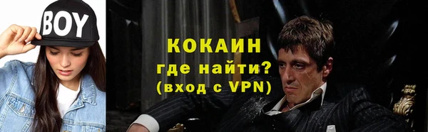 мдпв Мегион