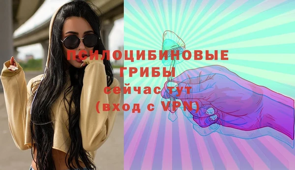 мдпв Медвежьегорск